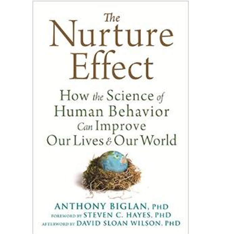 Picture of The Nurture Effect