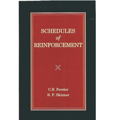 Picture of Schedules of Reinforcement